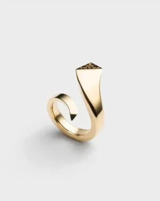 Anillo Eternal Gold Snake en oro amarillo