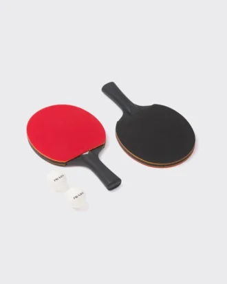 Paletas de ping-pong